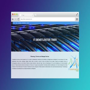 Portfolio Title